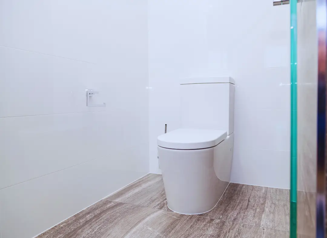 Remplacement de wc Doué-en-Anjou